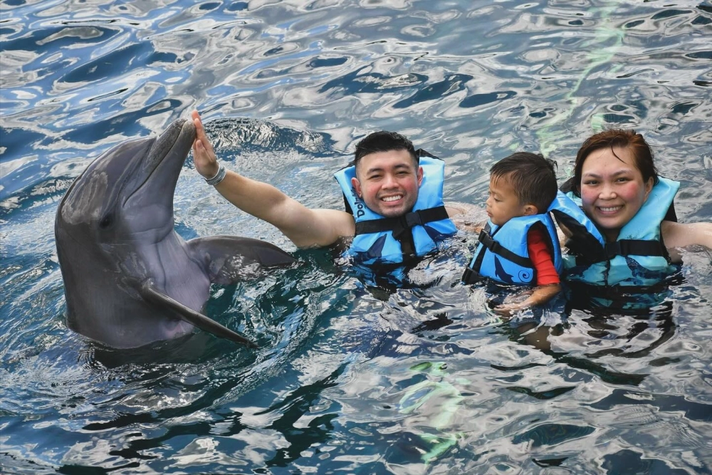 Cá heo đâm xuyên mặt nước tạo thành những tia nước li ti