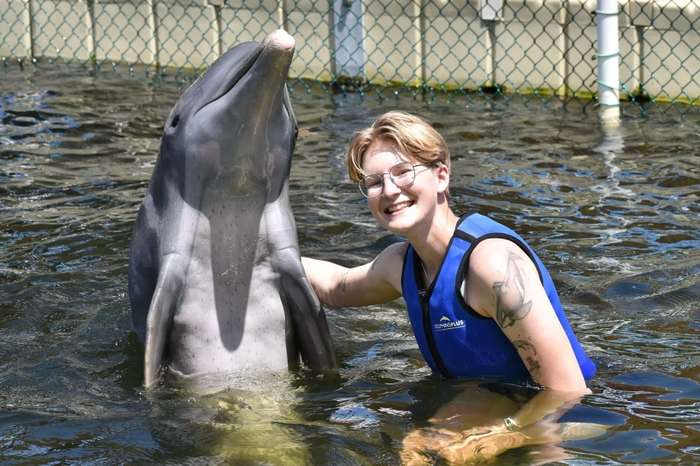 Cá heo thực hiện cú nhào lộn 360 độ trên mặt nước biển