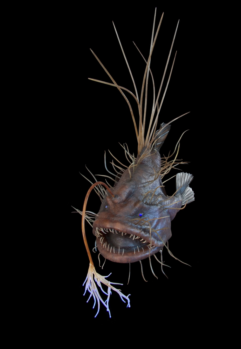 Ánh sáng sinh học từ chiếc cần câu của cá biển sâu