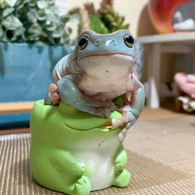 Khám phá ếch cảnh không độc an toàn và sinh động