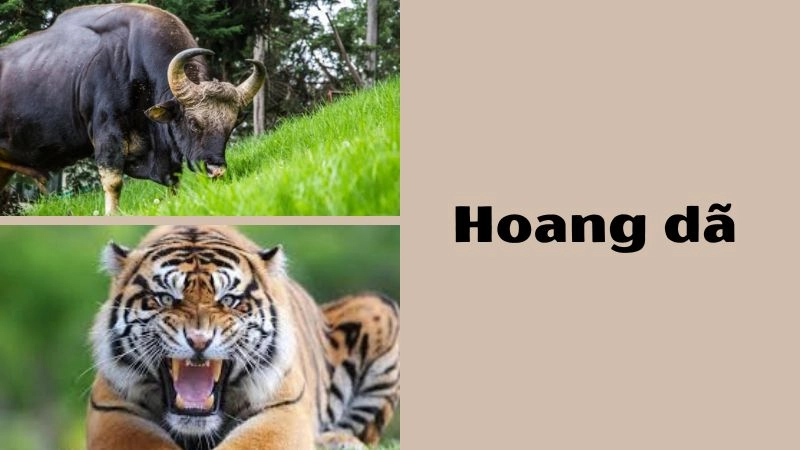 Vẻ đẹp quyền uy của những kẻ săn mồi