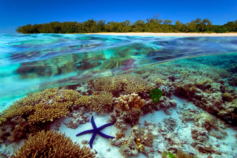 Kỳ quan thiên nhiên Great Barrier Reef nhìn từ góc độ nhiếp ảnh chuyên nghiệp