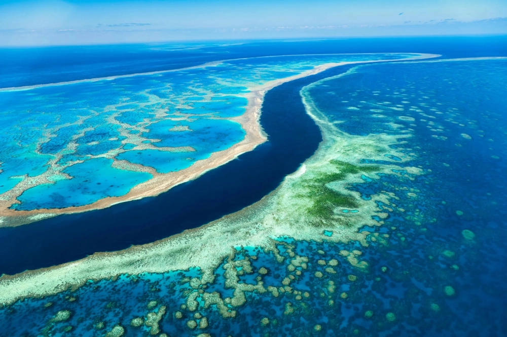 Hình nền Great Barrier Reef 4k cực nét cho máy tính và điện thoại