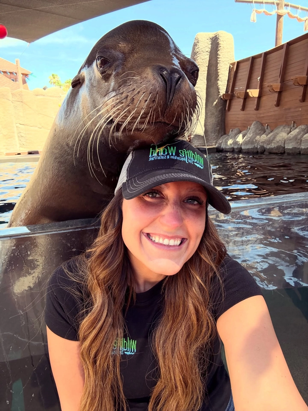 Sư tử biển lặn sâu trong vùng biển lạnh giá