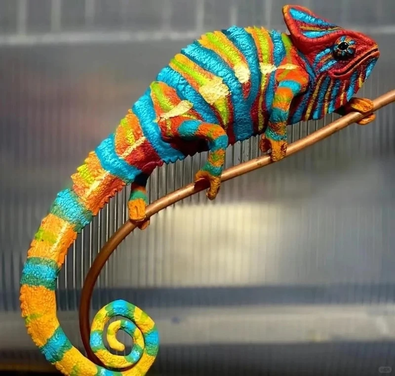 Thời gian sống của tắc kè hoa sống bao lâu dài lâu