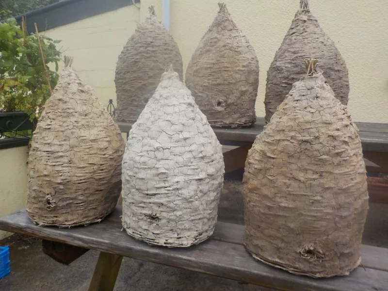 Đặc điểm nổi bật tạo nên tổ ong nghệ thuật