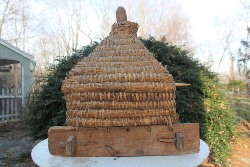 Chiêm ngưỡng tổ ong nghệ thuật cận cảnh chi tiết tinh xảo