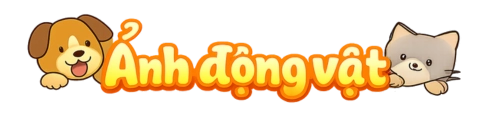 anhdongvat.edu.vn